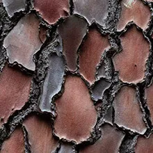 How Natural Aging Affects Your Tendons, Ligaments, and Cartilage (and What to Do About It)