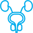 Understanding Prostate Enlargement: How DHT and Aging Affect Urinary Frequency